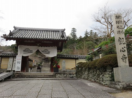 観心寺の門松 (1)