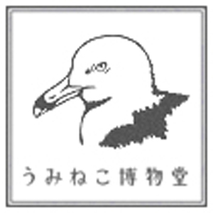 2019_うみねこ博物堂_logo