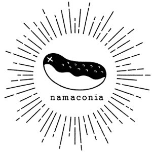 2019_namaconia_logo.jpg