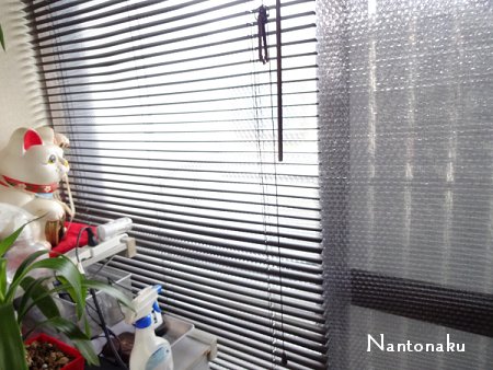 NANTONAKU　窓プチ張りました　これで暖房費を節約　1