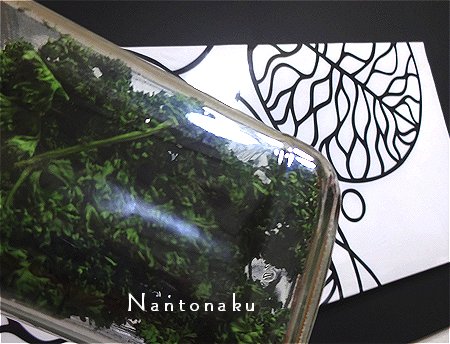 NANTONAKU　０１－１２　パリッと自家製パセリでサンドイッチ　に彩りを　2