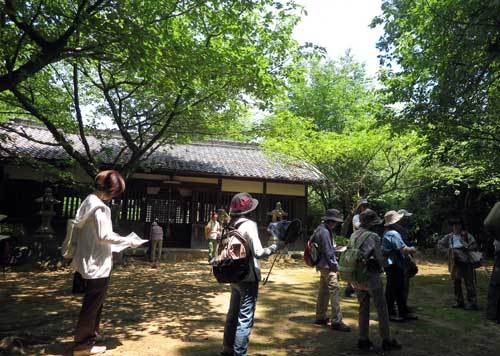 190606稚桜神社