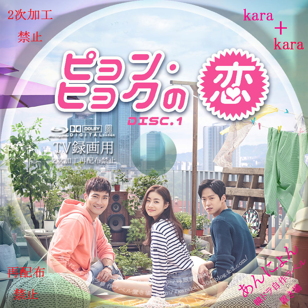 韓国ドラマ　韓国　ドラマ　dvd ピョンヒョクの恋　ピョンヒョクの恋dvd