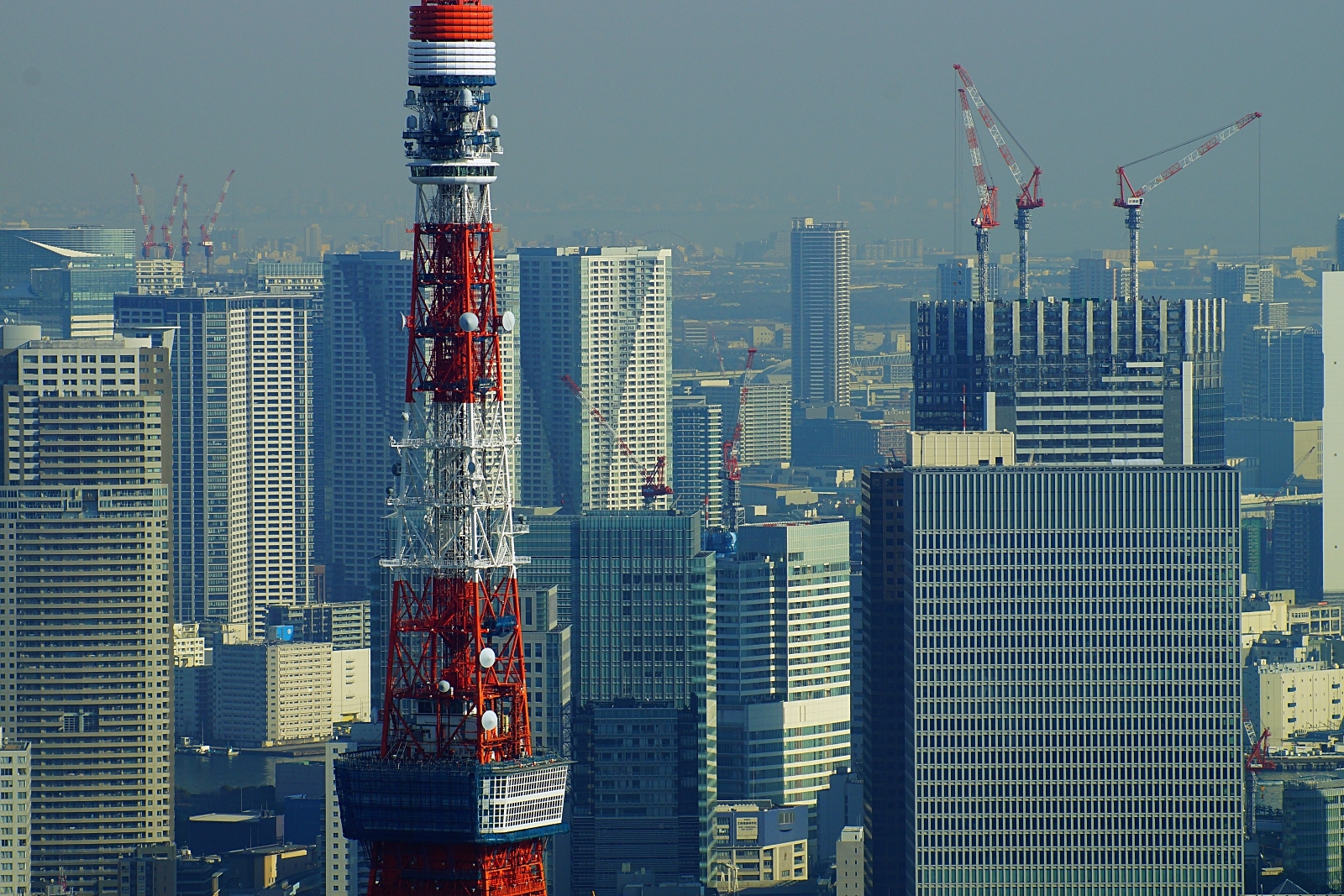 六本木ヒルズ森タワー展望台 東京シティビュー から見た東京都心の超高層ビル群 19 風景写真