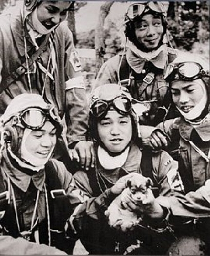 01f 500 kamikaze puppy