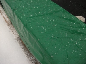 181206緑が雪で