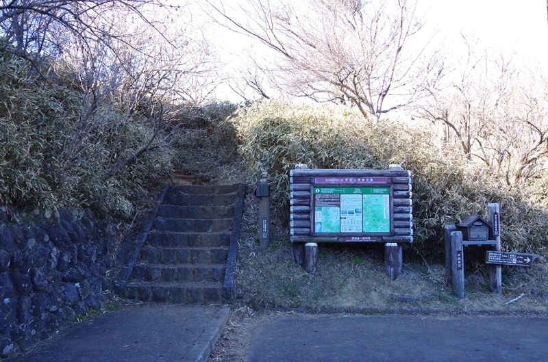 s-201901_達磨山・金冠山 (34)