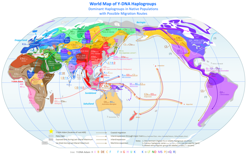 Y染色体ハプログループの分布図　World_Map_of_Y-DNA_Haplogroups.png（2018/11/04閲覧版）